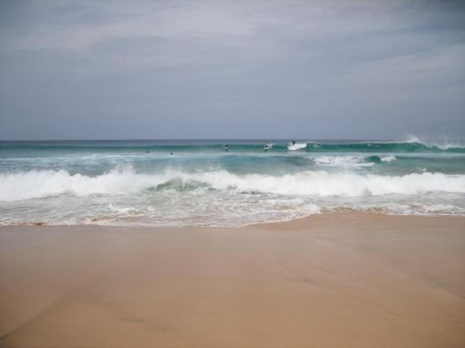 Lovely Villa - Pool Front, Private Roof Terrace, Wifi Fiber Optic Corralejo Bagian luar foto